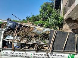 Best Residential Junk Removal  in Bally, PA